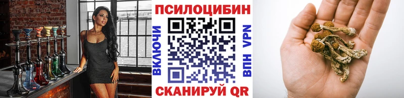 mega ссылка  Северобайкальск  Галлюциногенные грибы Psilocybe  купить  