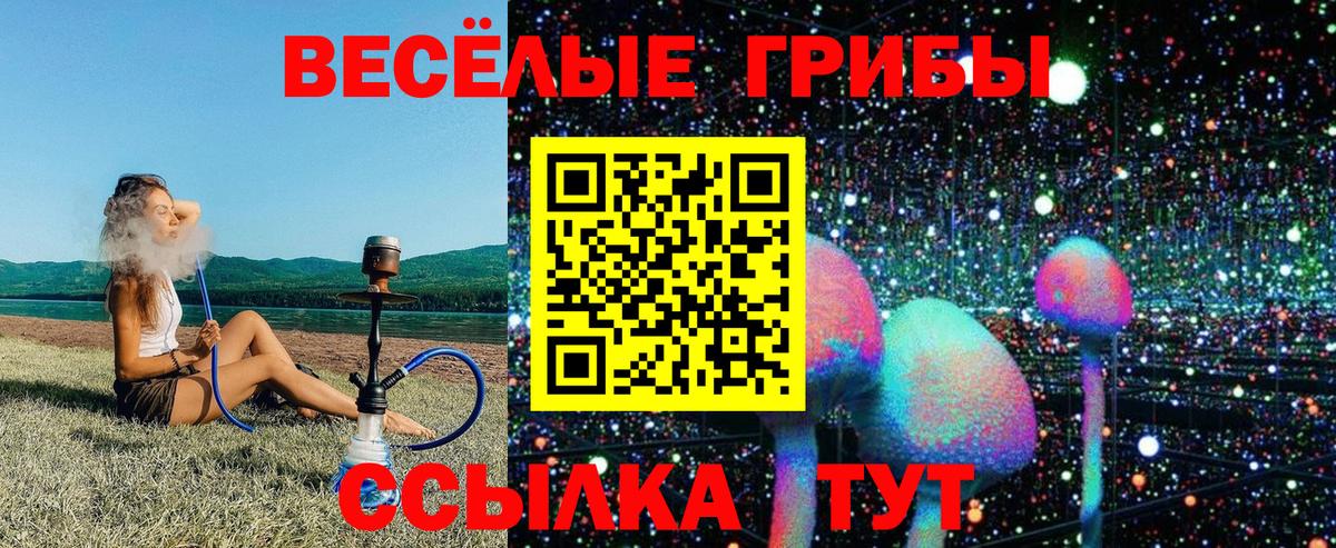 Псилоцибиновые грибы GOLDEN TEACHER  Вход с VPN  Северобайкальск 