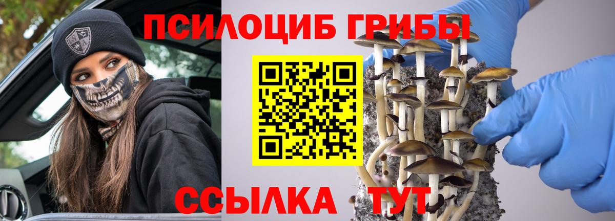Псилоцибиновые грибы прущие грибы Северобайкальск